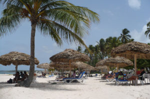 beach with palm umbrellas in Punta Canta