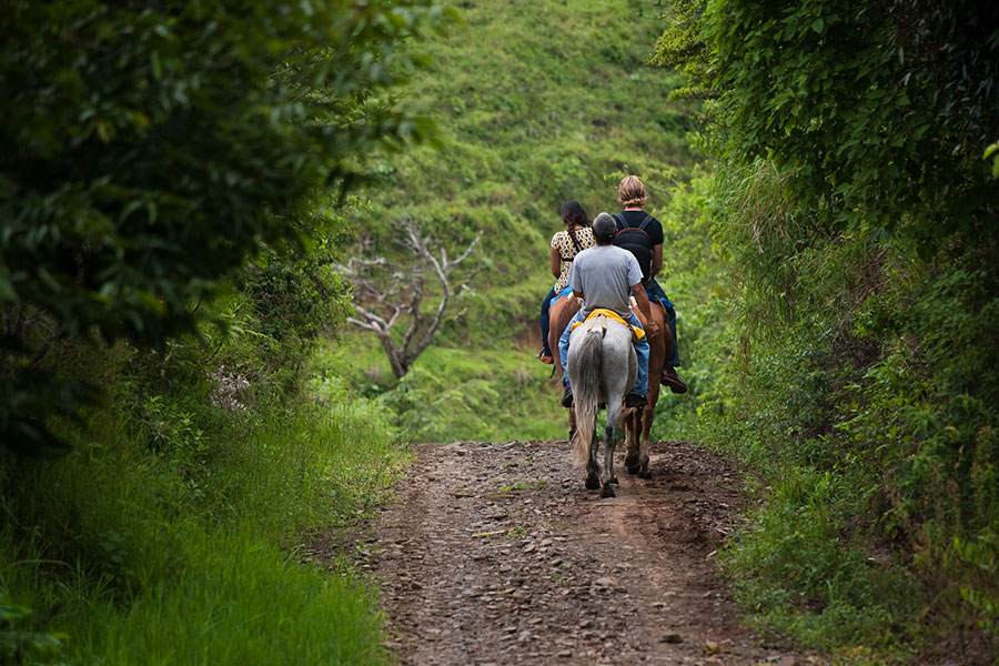 Tourists on horseback