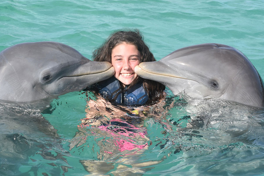 Happy young girl laughing and swimming with dolphins in the blue swimming pool on a bright sunny day